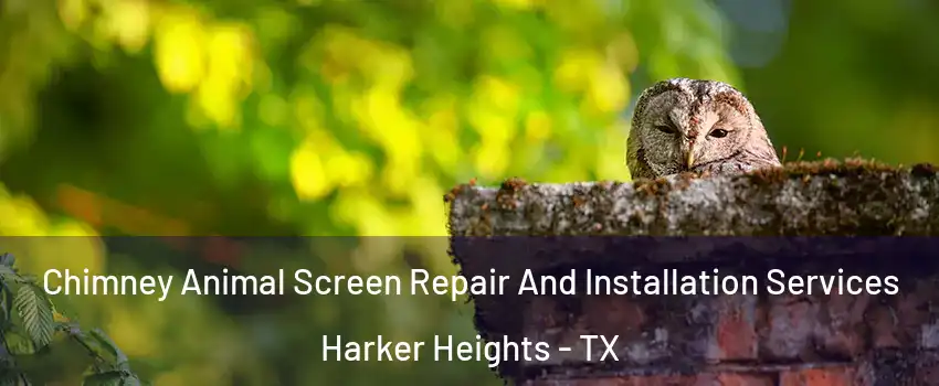  Chimney Animal Screen Repair And Installation Services Harker Heights - TX
