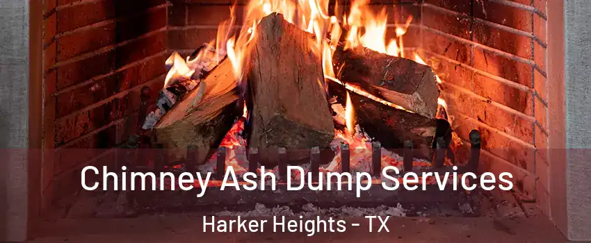  Chimney Ash Dump Services Harker Heights - TX