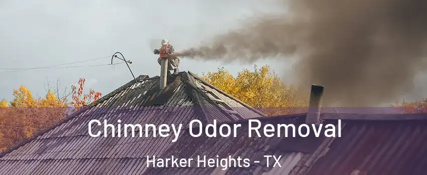  Chimney Odor Removal Harker Heights - TX