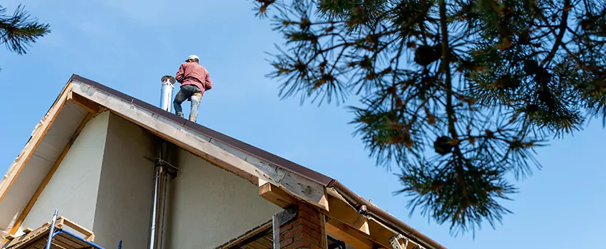 Birds Removal Contractors from Chimney in Harker Heights, TX