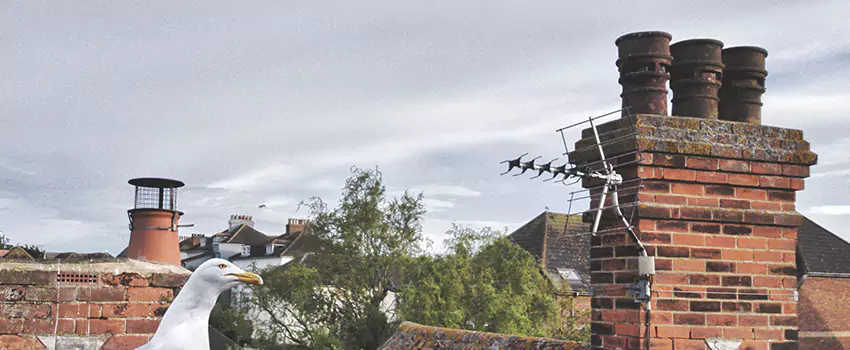 Chimney Cleaning And Restoration in Harker Heights, Texas