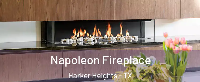  Napoleon Fireplace Harker Heights - TX
